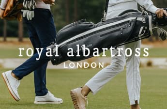 Royal Albartross