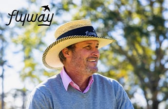 flyway