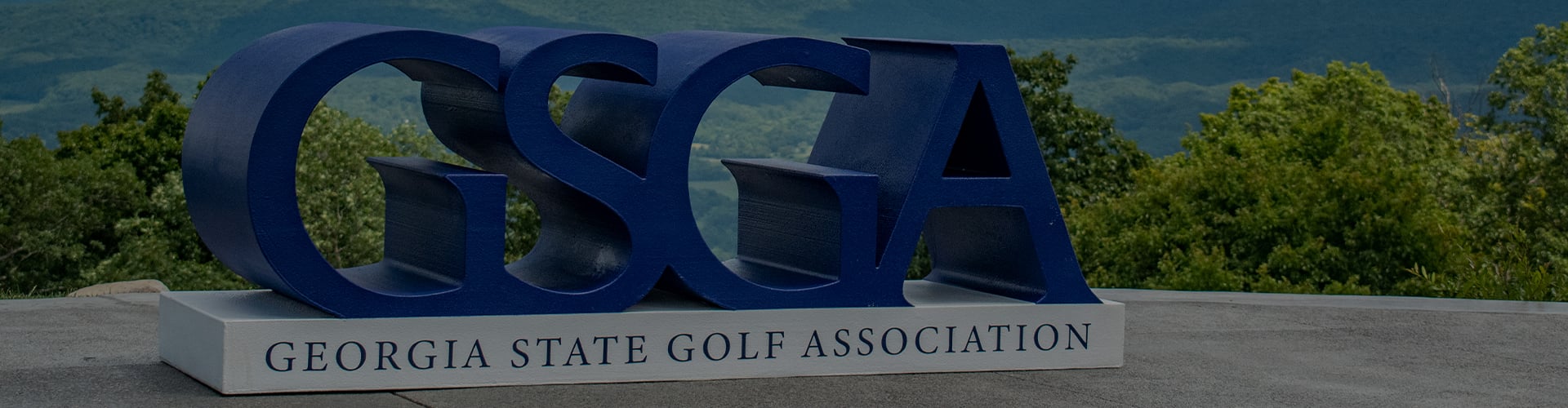 gsga ambassador header
