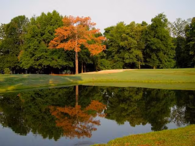 Houston Lake Country Club