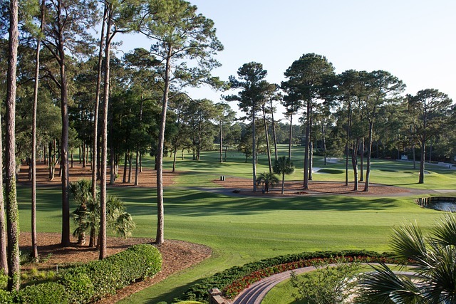 Iron Horse Golf Club