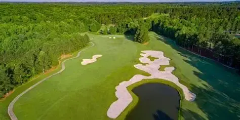 The Frog Golf Club